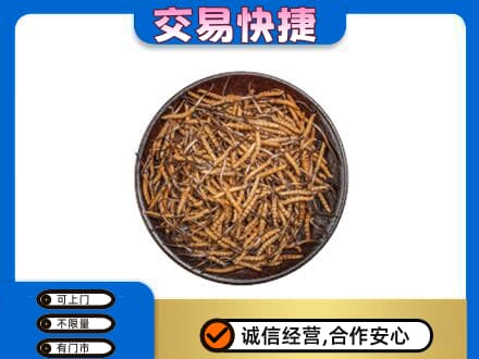 杭州市回收散虫草